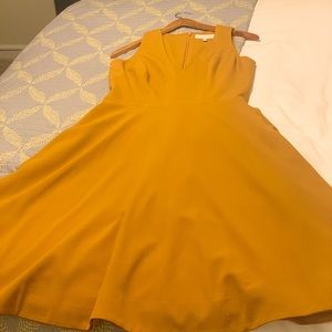 Dress the Population Skater Dress